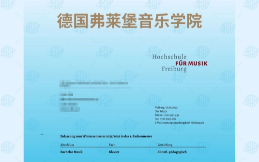 德国冬季学期开考即 “上岸”?这封弗莱堡 offer 来自川音附中的她